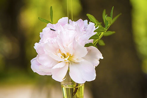 bouquet mariage